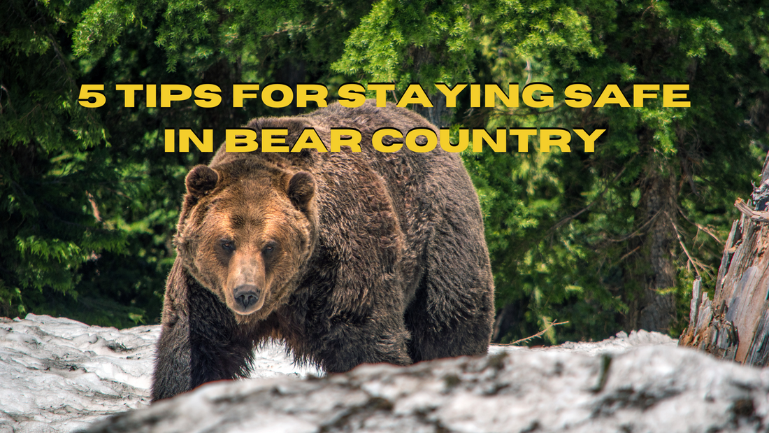 5 Tips for Safely Hiking in Bear Country