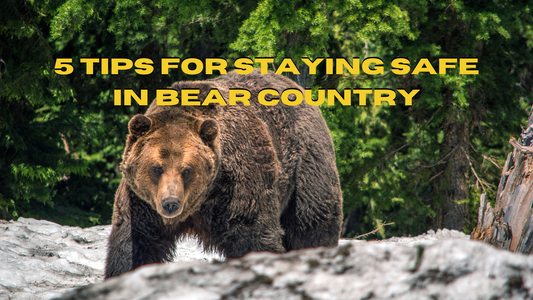 5 Tips for Safely Hiking in Bear Country
