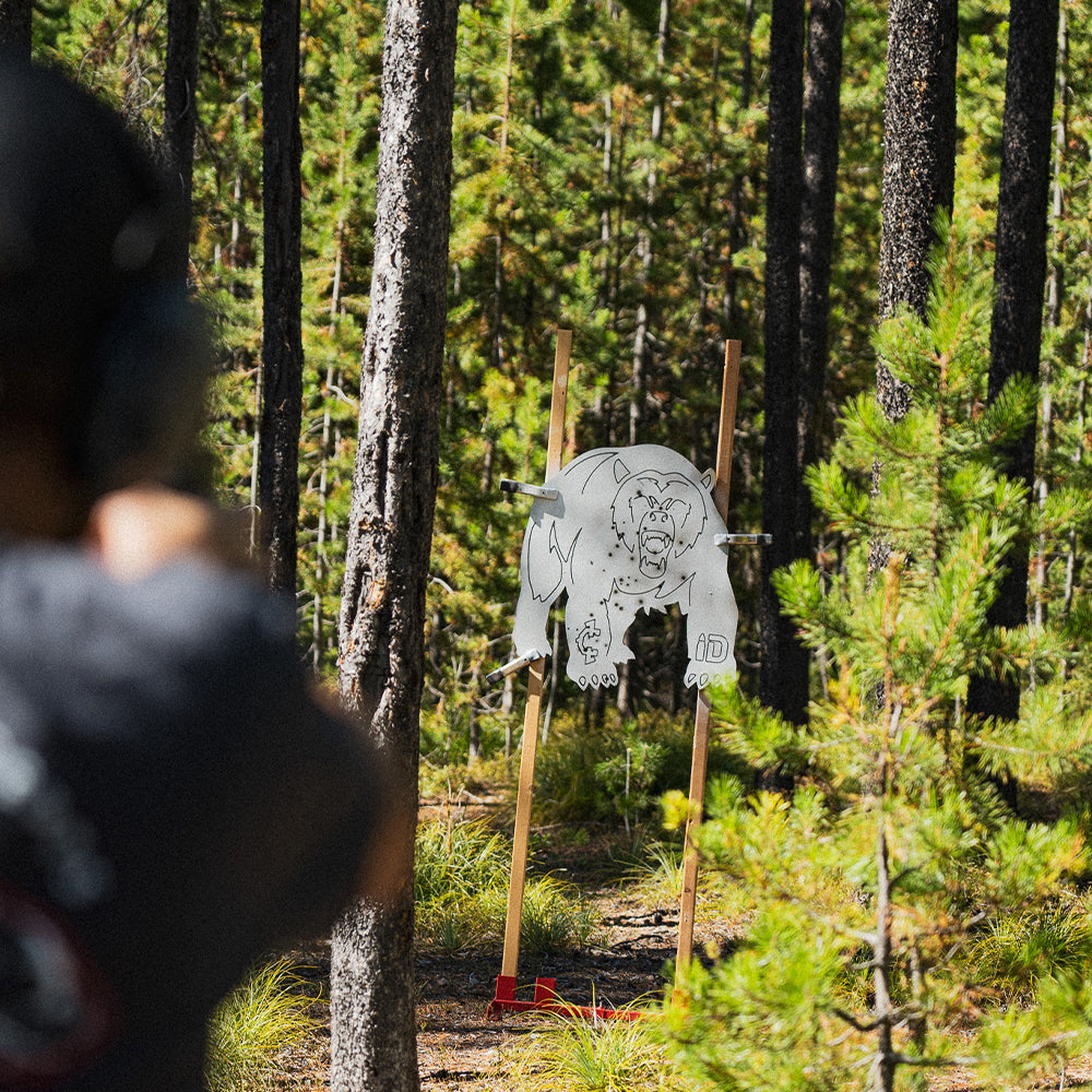 Grizzly Bear Infinity Target